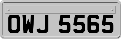 OWJ5565
