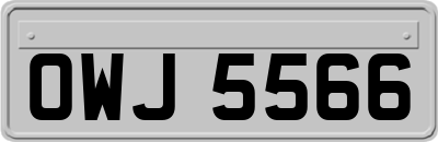 OWJ5566