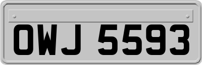 OWJ5593