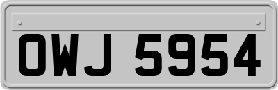 OWJ5954