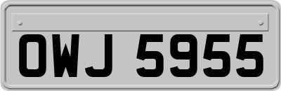 OWJ5955