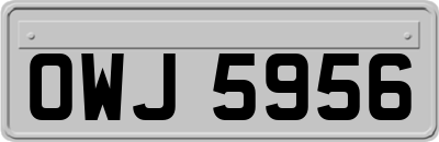 OWJ5956