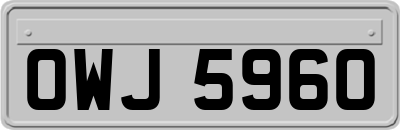 OWJ5960