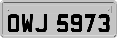 OWJ5973