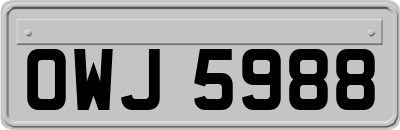 OWJ5988