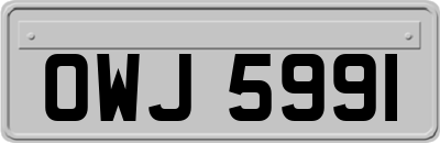 OWJ5991