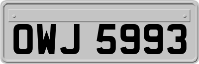 OWJ5993