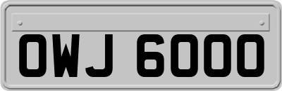 OWJ6000