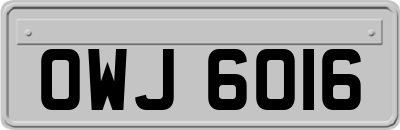 OWJ6016