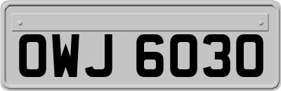 OWJ6030