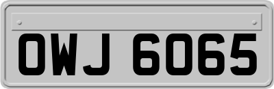 OWJ6065