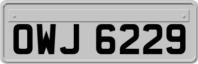 OWJ6229