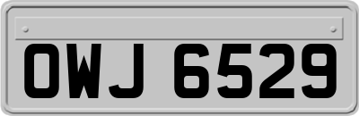OWJ6529