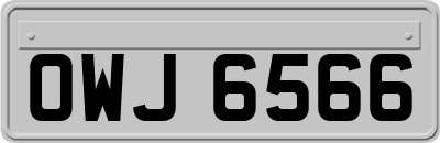 OWJ6566