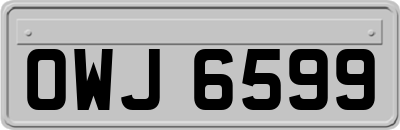 OWJ6599