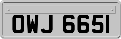 OWJ6651
