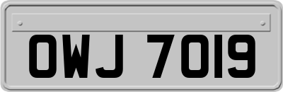 OWJ7019