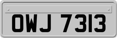 OWJ7313