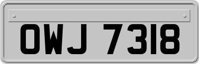 OWJ7318