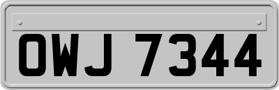 OWJ7344