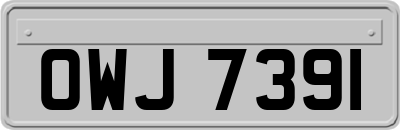 OWJ7391