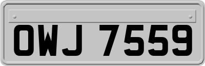 OWJ7559