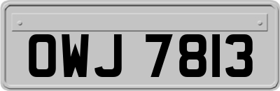OWJ7813