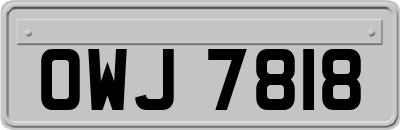 OWJ7818
