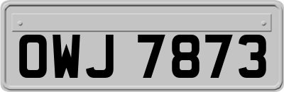 OWJ7873