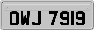 OWJ7919