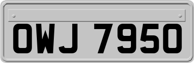 OWJ7950