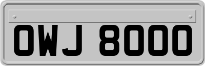 OWJ8000