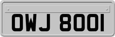 OWJ8001