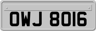 OWJ8016