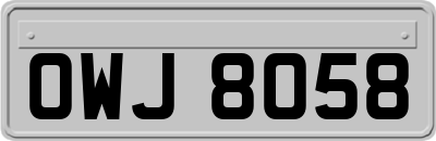 OWJ8058