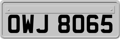 OWJ8065
