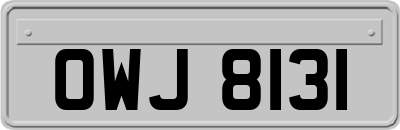 OWJ8131