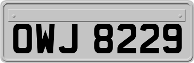 OWJ8229
