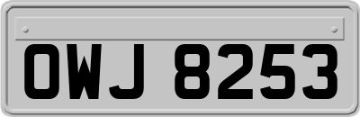 OWJ8253
