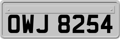 OWJ8254