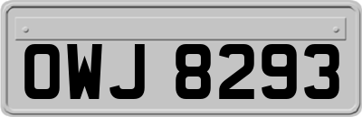OWJ8293