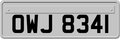 OWJ8341
