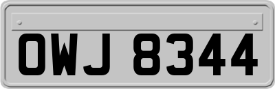 OWJ8344
