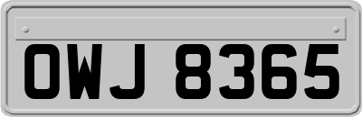 OWJ8365