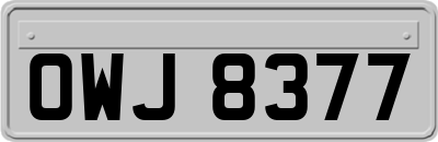 OWJ8377