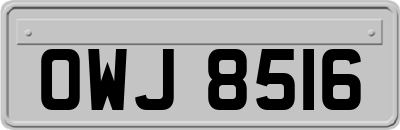 OWJ8516