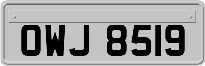 OWJ8519