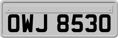 OWJ8530