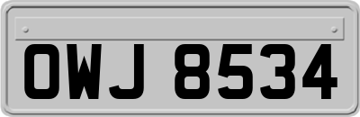 OWJ8534