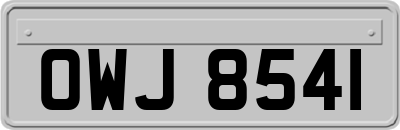 OWJ8541